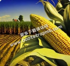 实时比分：掌握赛场脉搏 - 世界杯赛事
