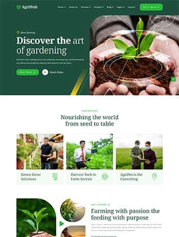 世界杯赛事